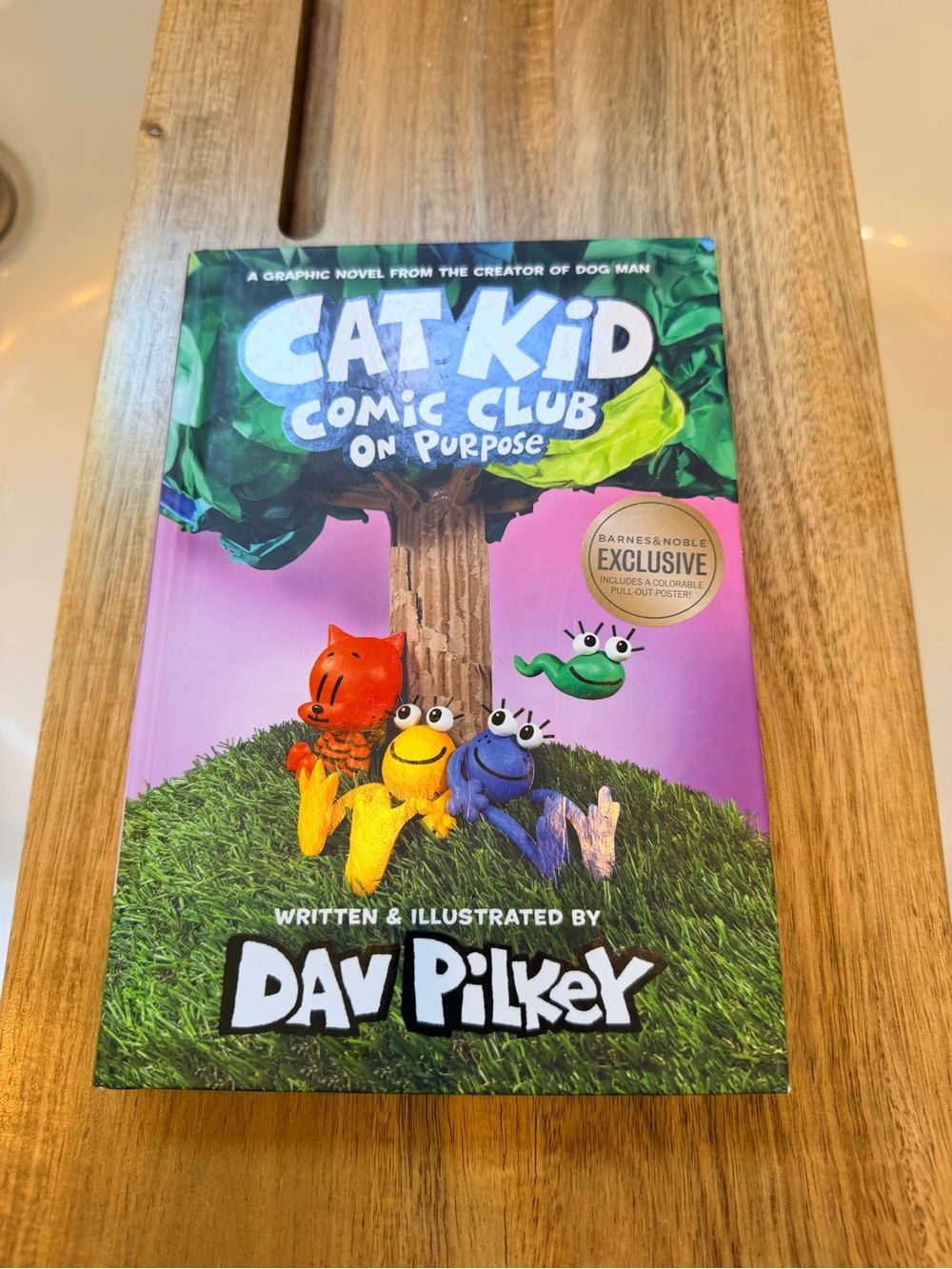 Cat Kid Comic Club On Purpose - Dav Pilkey Hardcover graphic Novel